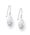 925 Sterling Silver Hook Rainbow Moonstones Earrings